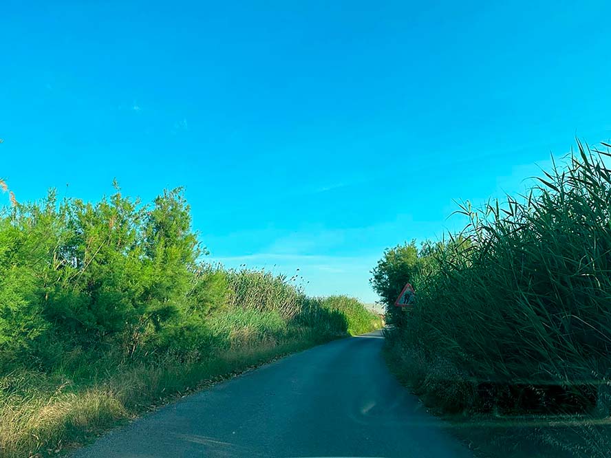 El Consell Local Agrari executa treballs de manteniment en el camí rural del Grau Vell