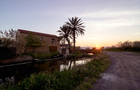 Verano de naturaleza en el centro medioambiental de la Marjal de Almardà-Almenara