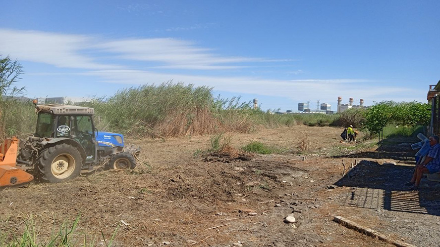 El Consell Agrari actua al Grau Vell i el llit del riu Palància, entre altres intervencions