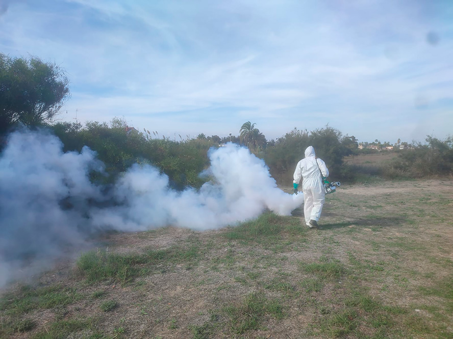 L'Ajuntament intensifica els tractaments contra els mosquits